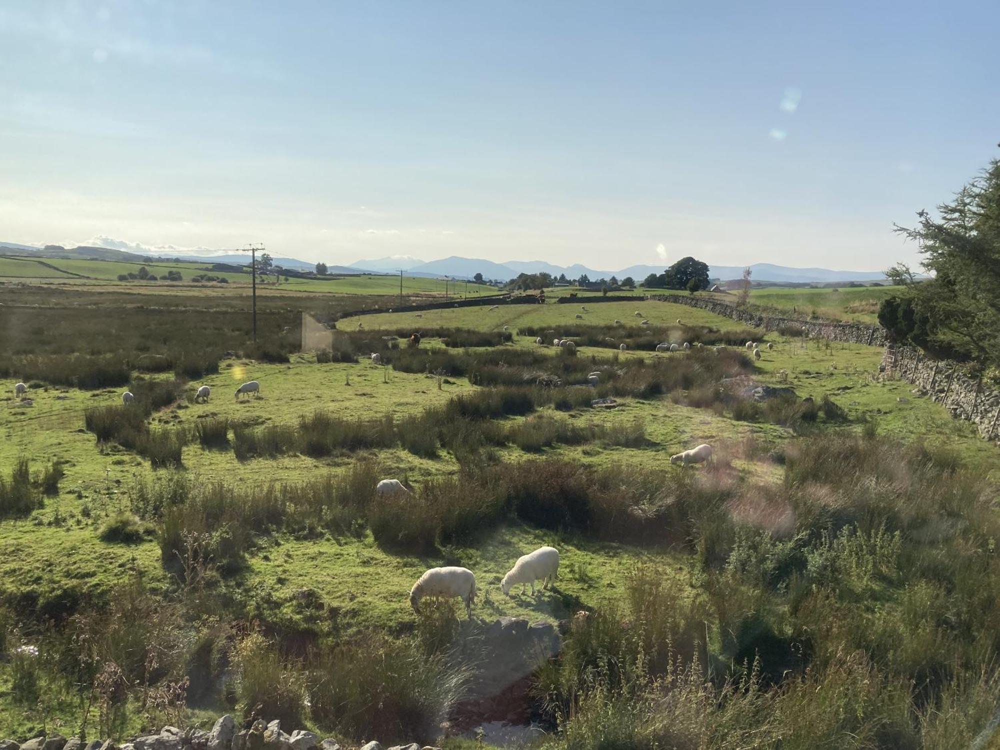 Llwyn Onn Guest House, North Wales Pentrefoelas Номер фото